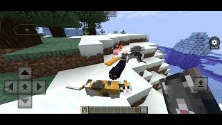 Minecraft Cat Fighting (Fabric)