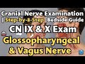 Master CN IX Glossopharyngeal X Vagus Clinical Bedside Guide to Lower Cranial Nerves