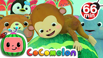 Down by the Bay + More Nursery Rhymes & Kids Songs - CoComelon