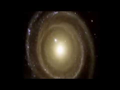 Gods Fingerprint→ The Fibonacci Sequence   Golden Ratio and The Fractal Nature of Reality
