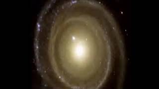 Gods Fingerprint→ The Fibonacci Sequence   Golden Ratio and The Fractal Nature of Reality