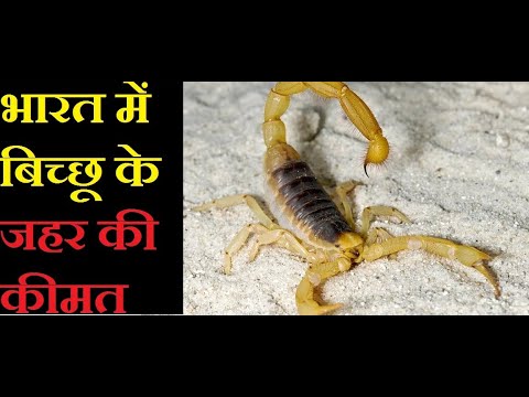 scorpion poison price in india | random facts | science facts | Ep 03 ...
