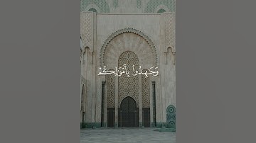 القارئ فضيلة الشيخ محمد اللحيدان سورة التوبة الآية 【41】📚💚#محمد_اللحيدان #سورة_التوبة #قرآن  .