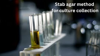 Stab Agar Method For Culture Collection In Short Term