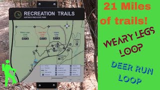 A Day Hike At Hartwick Pines State Park