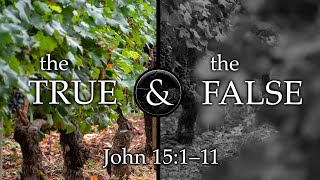 The True and the False, Part 2 (09.18.22)