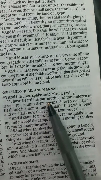 exodus-chapter-16-verse-11-12-youtube