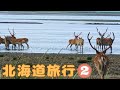北海道旅行(2)【Hokkaido trip (2)】