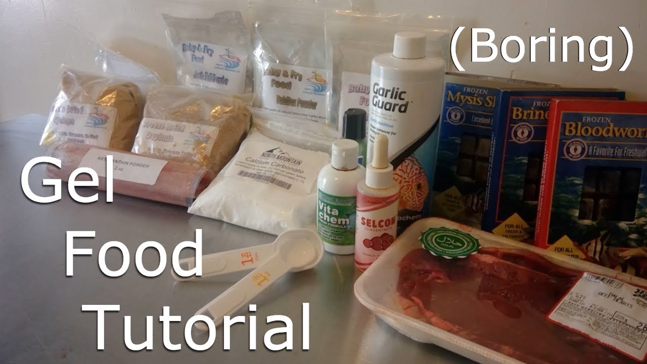 Gel Food Tutorial YouTube