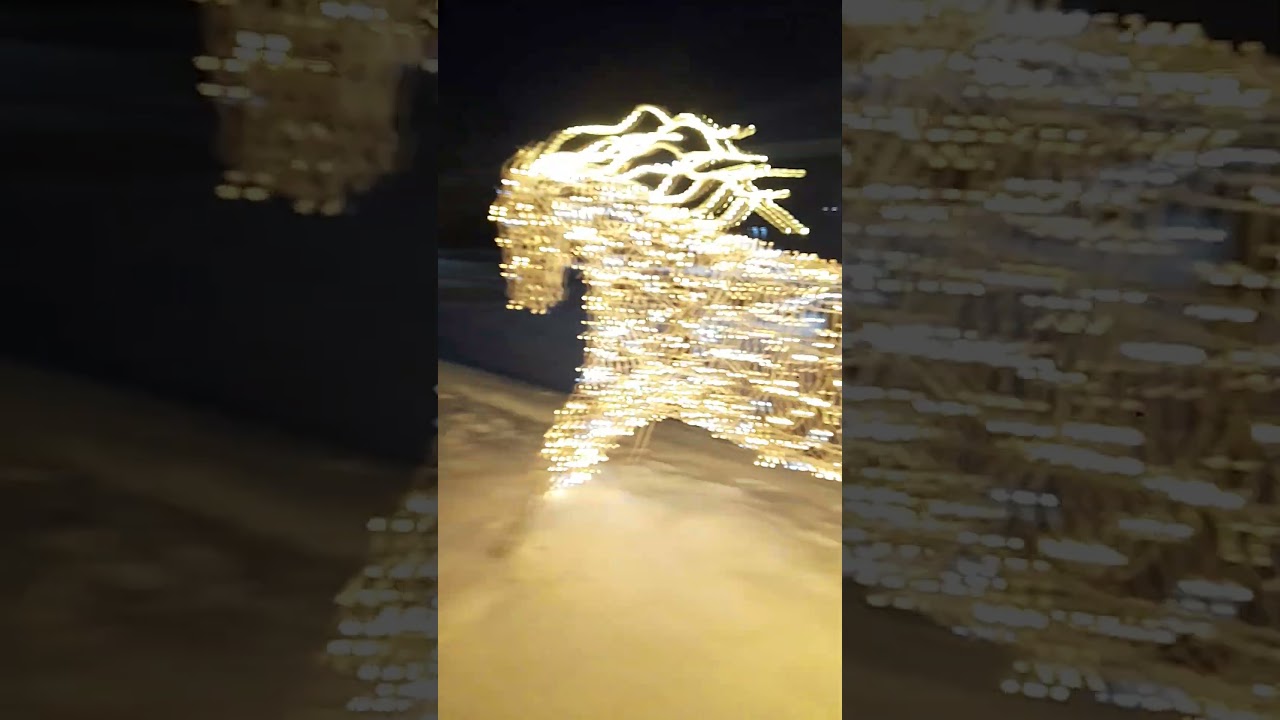 Я между двух светодиодных лошадей на Каскадной площади нахожусь 24-ого Января