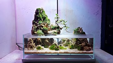 Tiểu cảnh bonsai mini cần thăng với hồ siêu trong 40x27x14 (nâng đáy 3 cm).