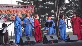 'SKINSIU RAUDONĄ ROŽĘ' Regioninė šlagerių šventė 2015