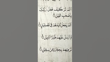Sourate Al-Fil | Khalid Al-Jalil (105) سورة الفيل | خالد الجليل