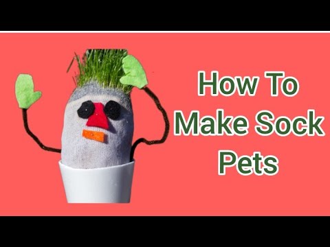 How To Make Sock Pets // DIY Sock Pets
