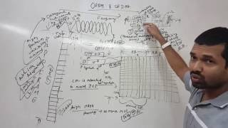 LTE OFDM and OFDMA,multiple access technology in LTE,Radio Interface techniques in LTE