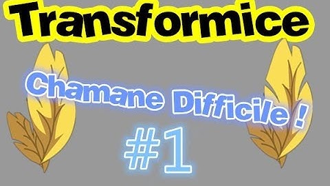 [Transformice] Technique - Chamane Difficile !