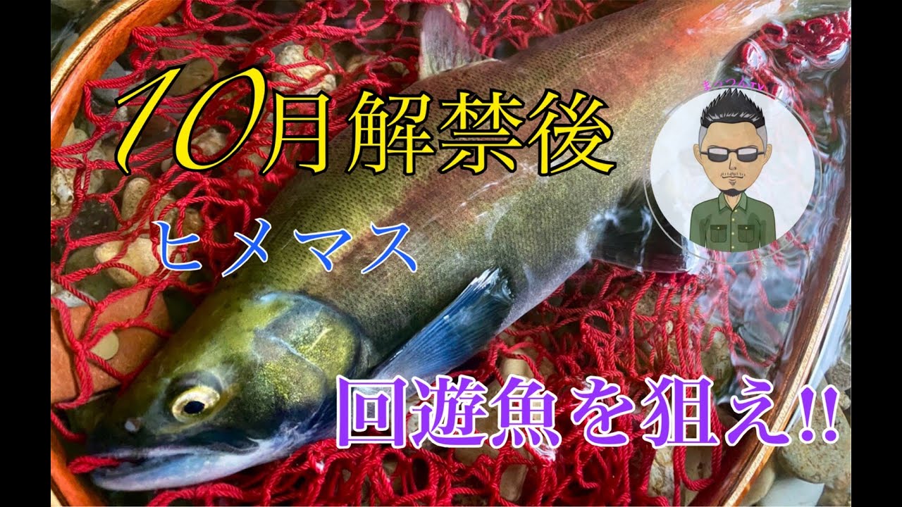 【ヒメマス】十和田湖！10月解禁後の回遊ヒメマスを狙う！〜前編〜