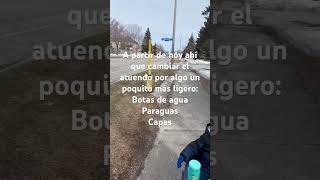 Llegó la primaveraaaa
