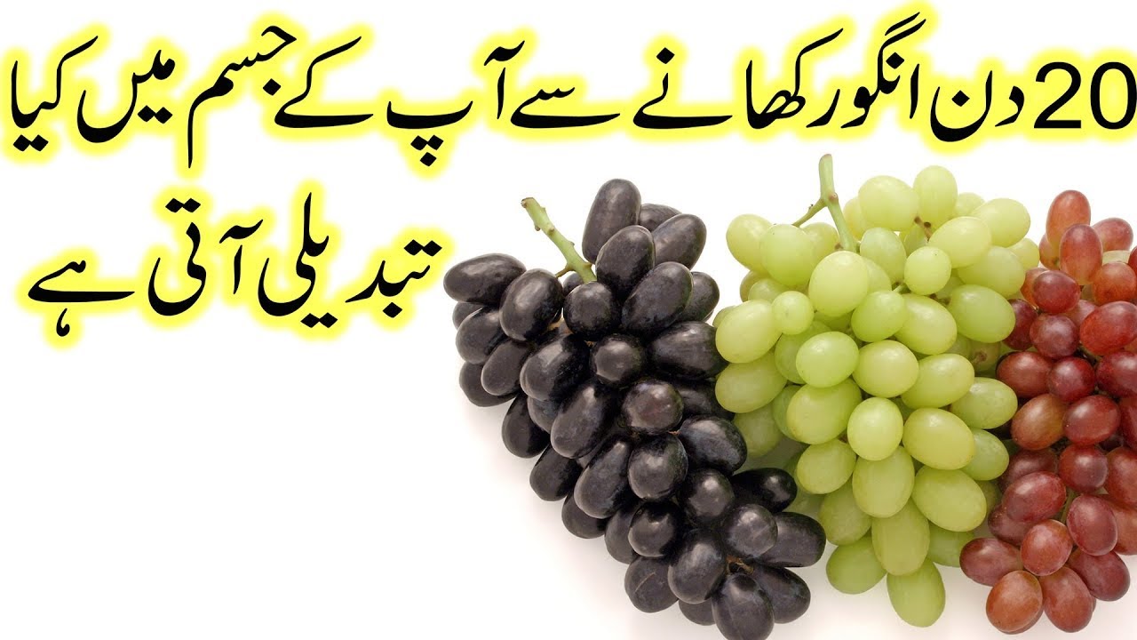  Angoor ki taseer thandi ya garam grapes ki taseer kaisi hoti hai