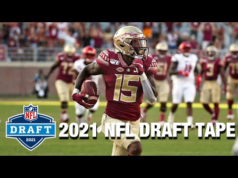 Tamorrion Terry NFL Draft Tape | Florida State WR