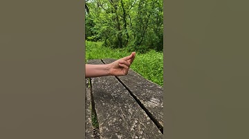 How to Snap Your Fingers #comedy #satire