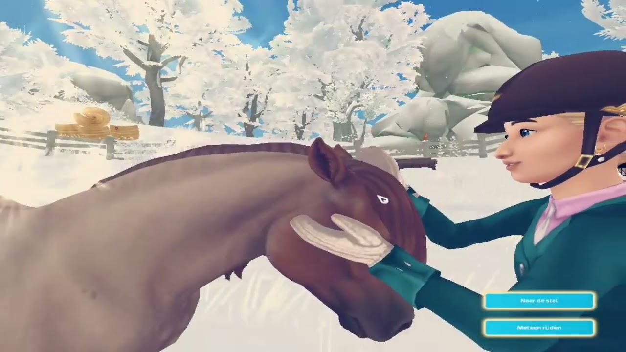 De bazaar is er.(PAARDEN KOPEN)