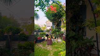 Busy but peaceful Morning #homegarden#gardening#shorts#plants#gardeningandcreativity
