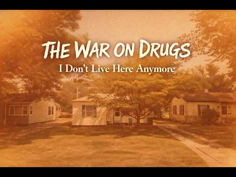 The War on Drugs (ft. Lucius) - I Don't Live Here Anymore [Bass Cover]