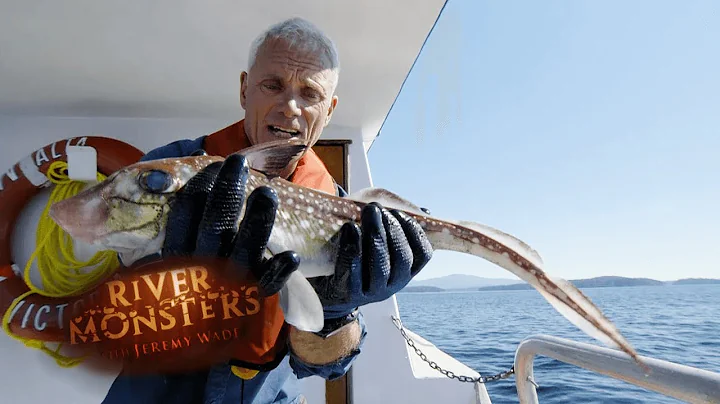 Pulling Up 300ft Deep Ratfish | River Monsters