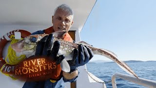 Pulling Up 300Ft Deep Ratfish | River Monsters