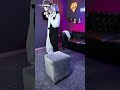 Terrifier vs Thor’s Hammer ⚡😂 | Stool Gone Wrong! | Funny Horror Short