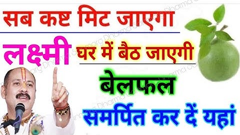 लक्ष्मी प्राप्ति के लिए बेल फल के चमत्कारी उपाय |Pradeep ji mishra Shiv puran upay #dharma