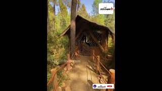 காட்டின் நடுவே ஓர் அழகிய இறை இல்லம்/beautiful masjid in forest/entertainment video/#a2uatthubegum