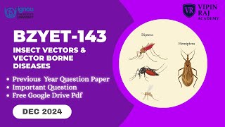 BZYET-143 December 2024 Solved PYQ 📘 | Insect Vectors & Vector Borne Diseases | IGNOU BSc Zoology