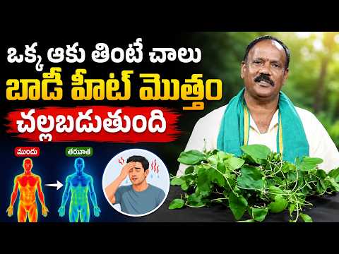 Ayurvedic Subbarao Inrerview 6 body heat