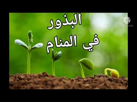 البذور في المنام حلم البذور رؤيا البذور