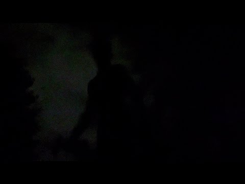 4 am workout