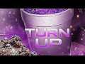 Turn Up Gage mp3