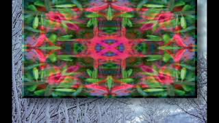A Winter Solstice Prayer