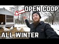 Winter Chicken Guide - NO Heat Open Air Coop & Cold Weather Tips