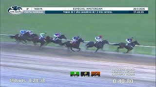 Vidéo de la course PMU ESPECIAL AMSTERDAM