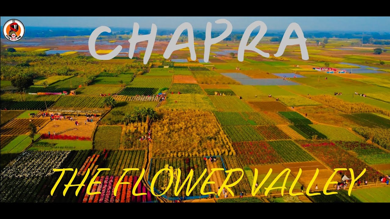 FLOWER VALLEY CHAPRA || ফুলের স্বর্গরাজ্য ক্ষীরাইকে হার মানাবে চাপড়া ||  Day Tour from Kolkata