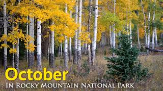 October In Rocky Mountain National Park What You Need To Know