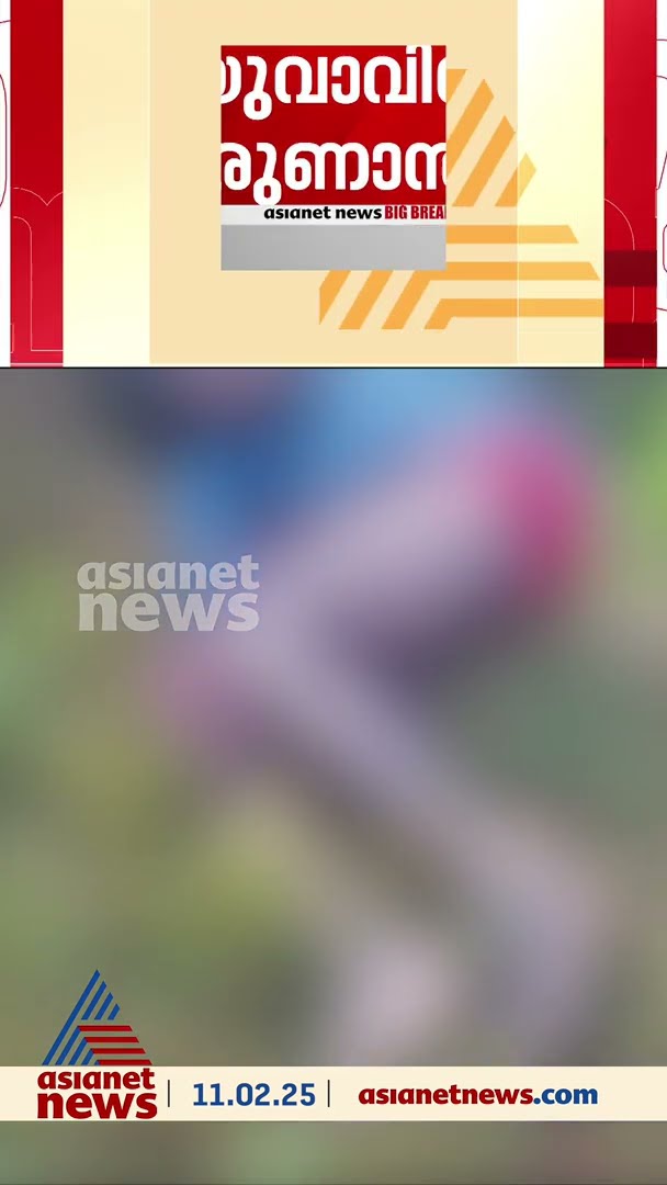 വീണ്ടും ജീവനെടുത്ത് കാട്ടാന; നൂൽപ്പുഴയിൽ കാട്ടാന ആക്രമണത്തിൽ യുവാവിന് ദാരുണാന്ത്യം