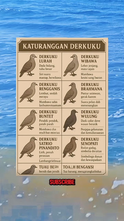 Katuranggan burung derkuku #meme #birds #tekukur #zebradove #short
