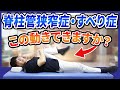 【脊柱管狭窄症やすべり症の方】この動きできますか？根本原因が丸わかり!自分で調べる方法とストレッチ・筋トレ