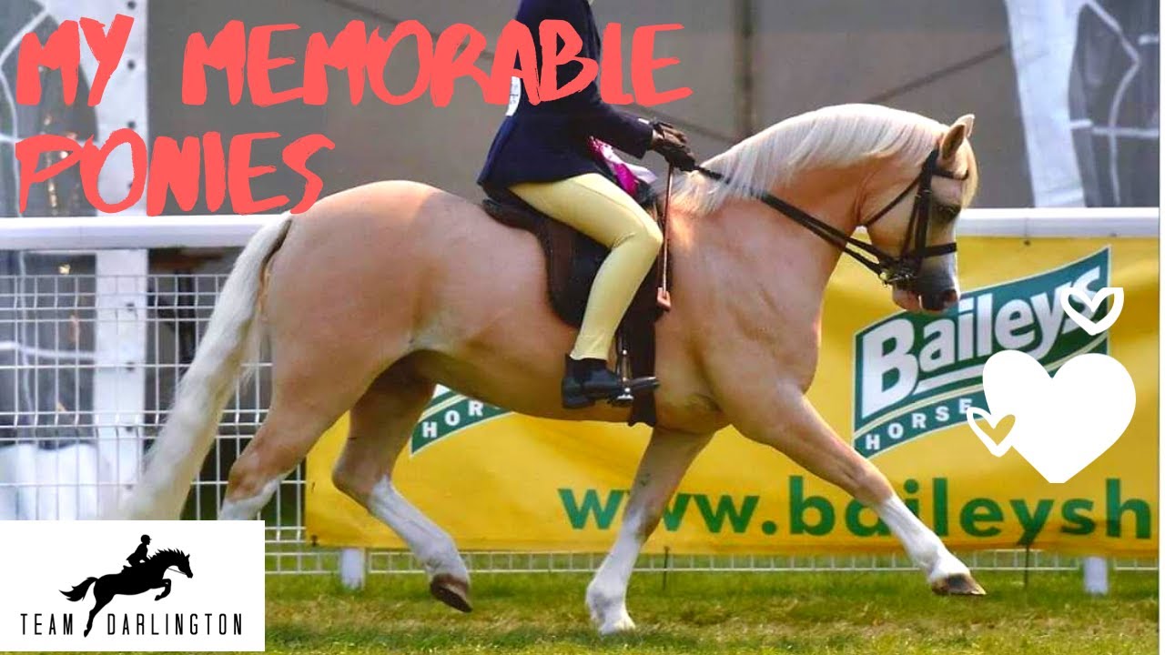 TEAM DARLINGTON || My Memorable Ponies
