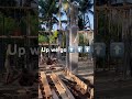 Up we go! Building this clients dream jungle home in Bali paradise 🏝️❤️
