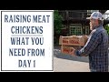 RAISING MEAT CHICKENS FROM DAY 1 - HOMESTEADING FAMILY