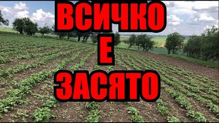 ВЕЧЕ СМЕ ГОТОВИ!